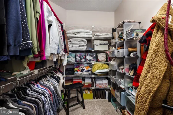 a picture of city view with lots of trees