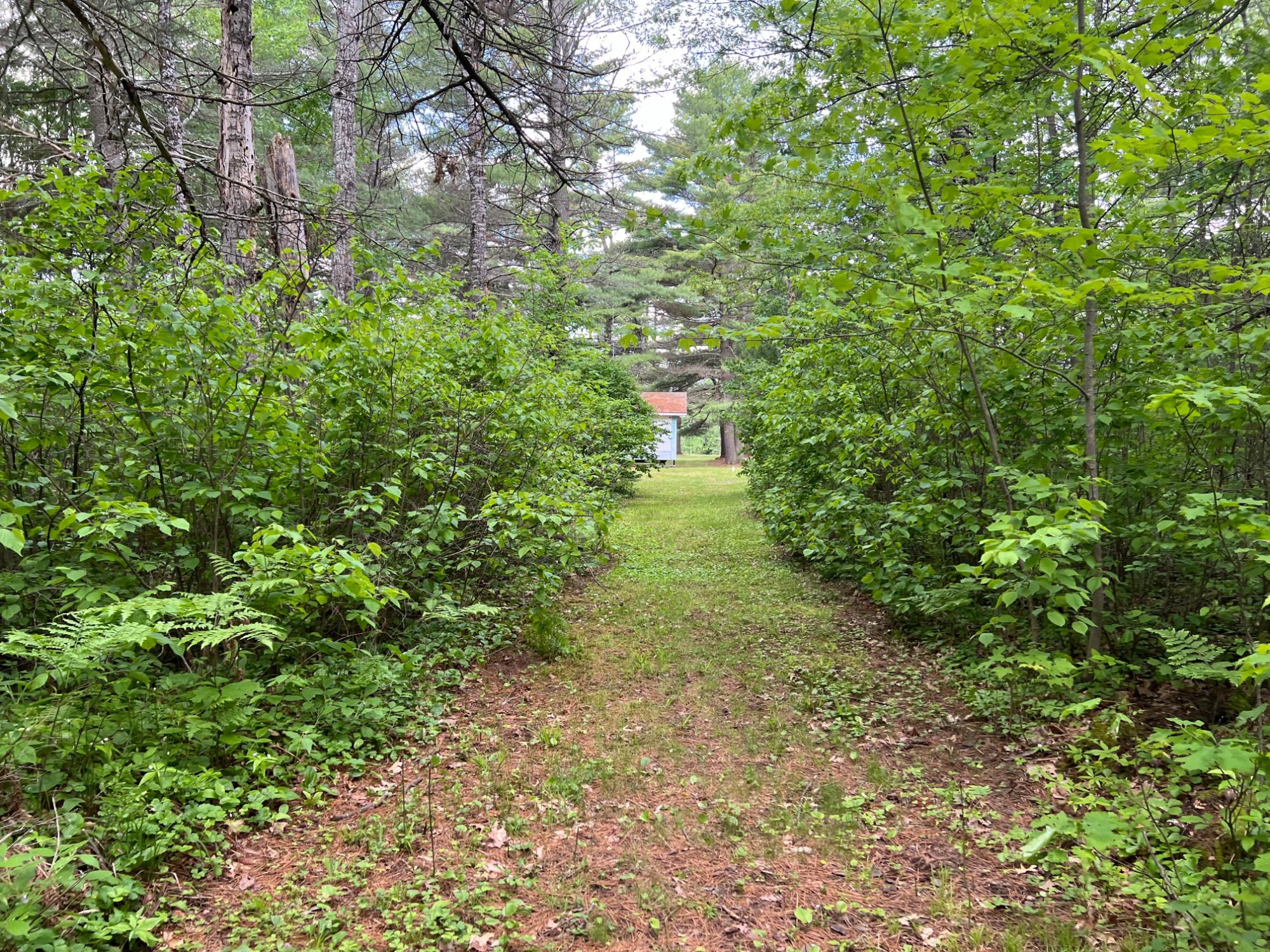9734 Oakridge Road Harshaw, WI 54529 - Photo 15 of 31 Gallery Image 15