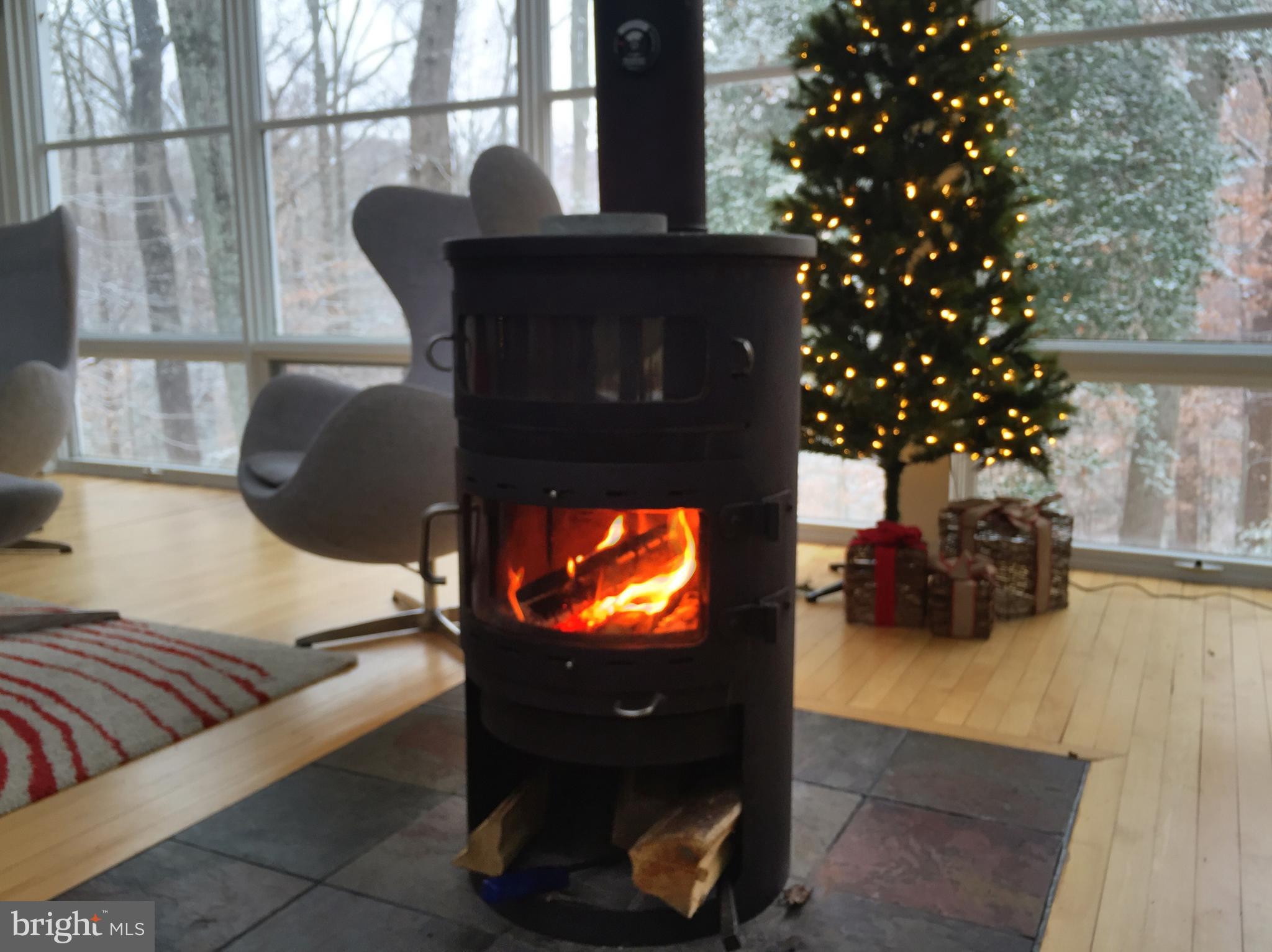 2711 Colonial Road Accokeek, MD 20607 - Photo 27 of 28 Wood burning stove