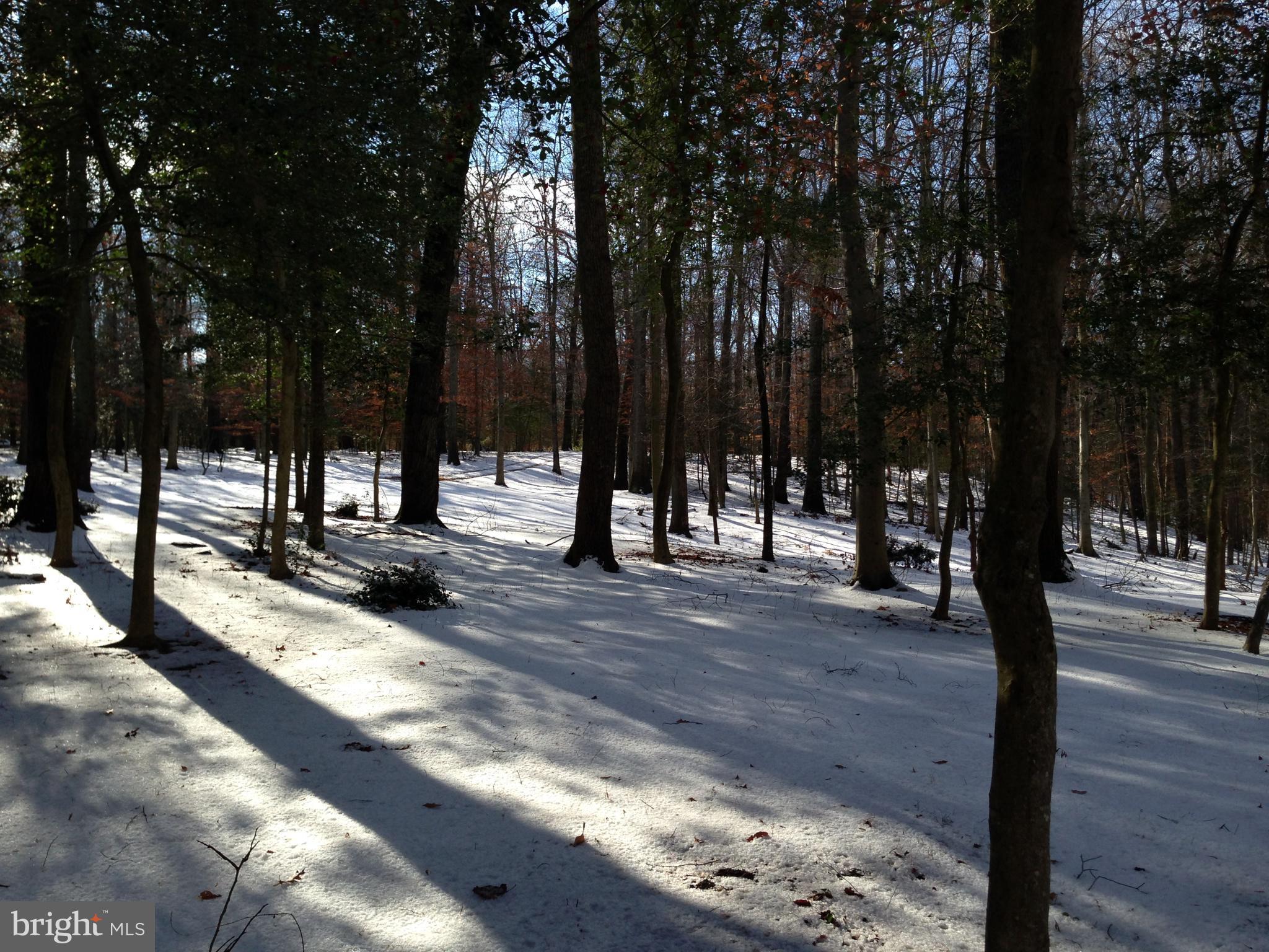 2711 Colonial Road Accokeek, MD 20607 - Photo 28 of 28 View from front of house out toward entrance road