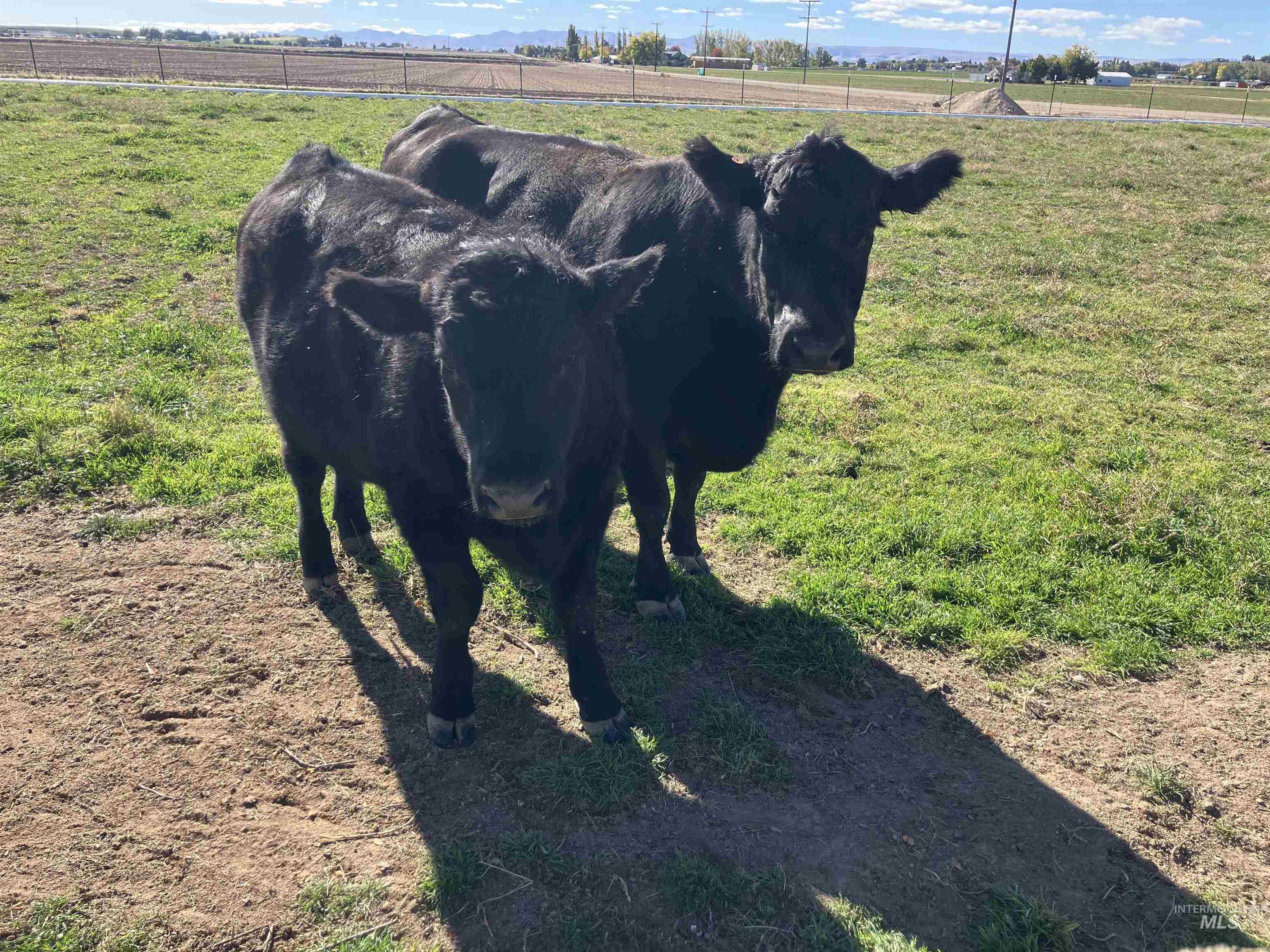 17530 Beet Road Caldwell, ID 83607 - Photo 50 of 50