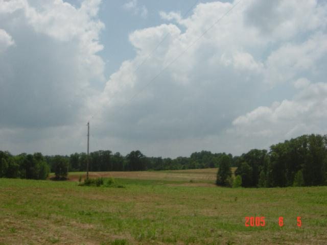 135 & Joyce Road Easley, SC 29640 - Photo 2 of 8