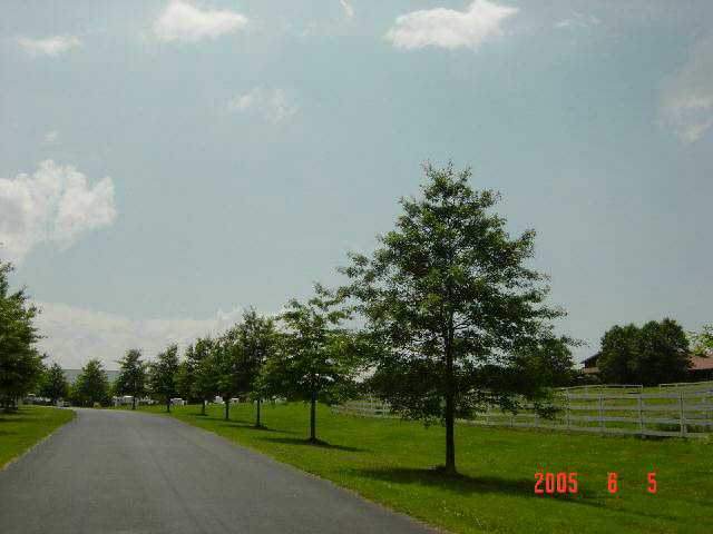 135 & Joyce Road Easley, SC 29640 - Photo 8 of 8