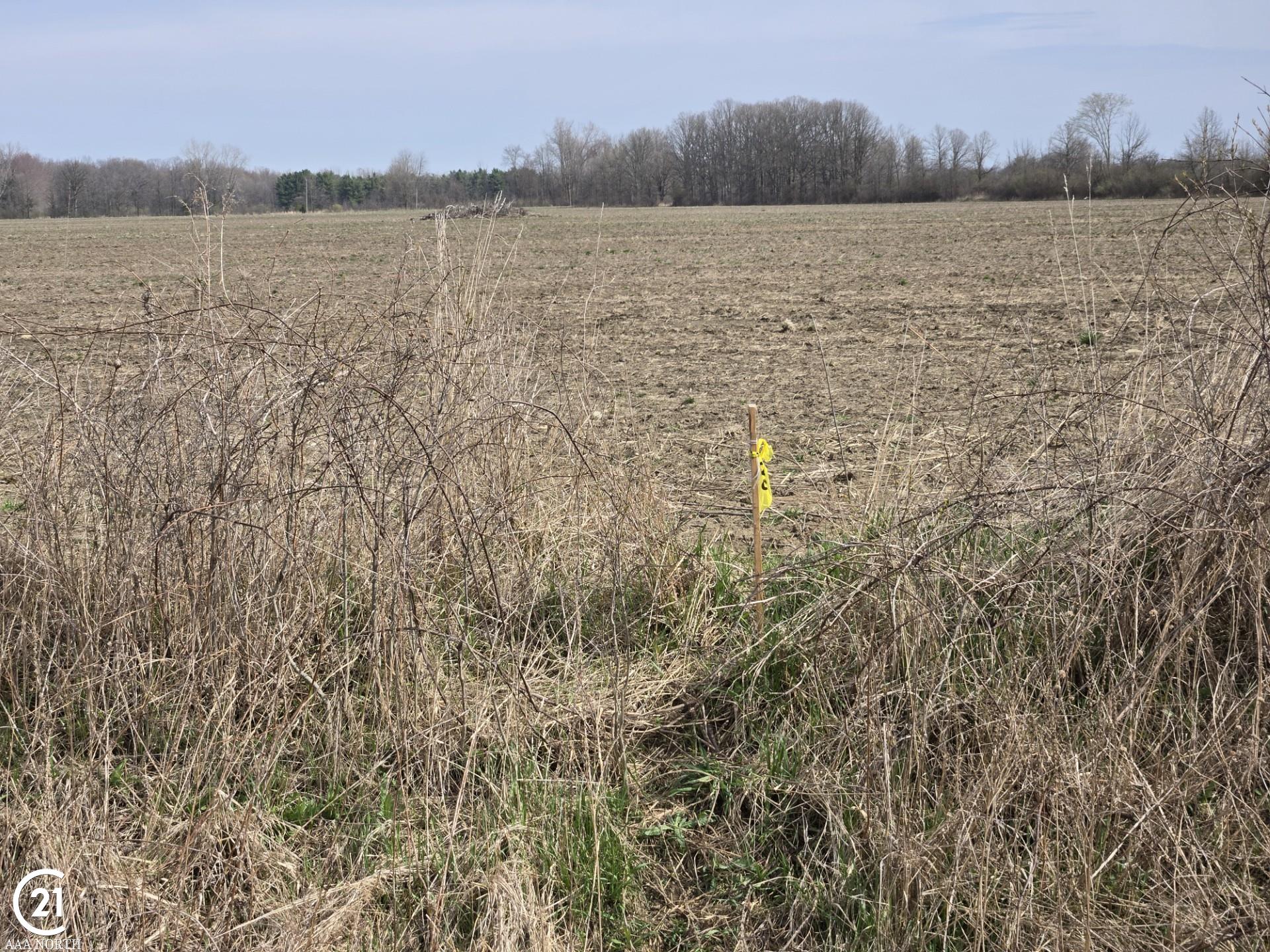 0 Meskill (lot D) Road Columbus, MI 48063 - Photo 15 of 15