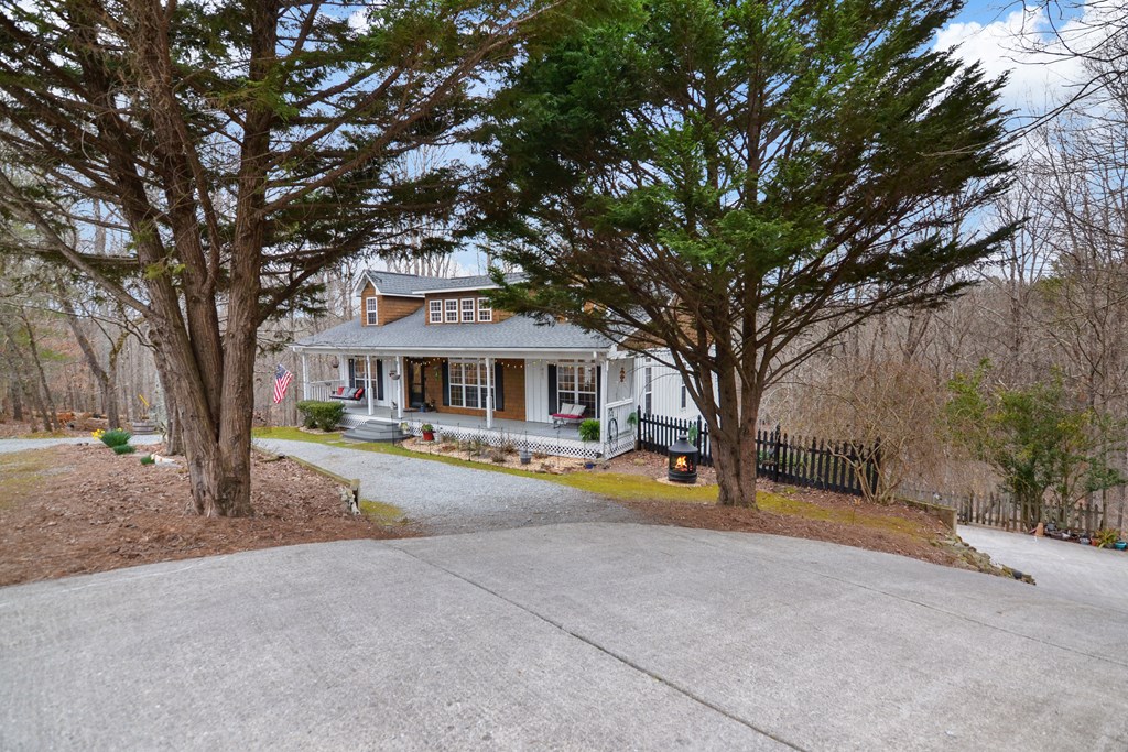 202 Zeblin Road Ellijay, GA 30540 - Photo 4 of 50 Gallery Image 4