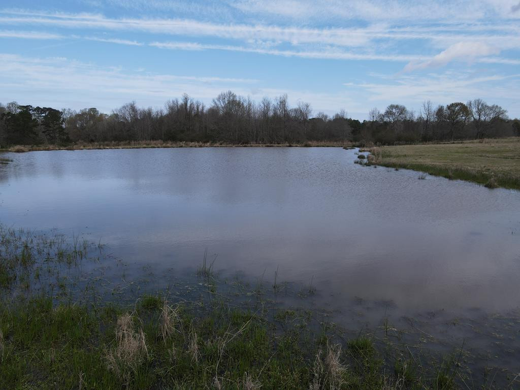 2120 Gene Road Southwest Brookhaven, MS 39601 - Photo 1 of 30 Main View