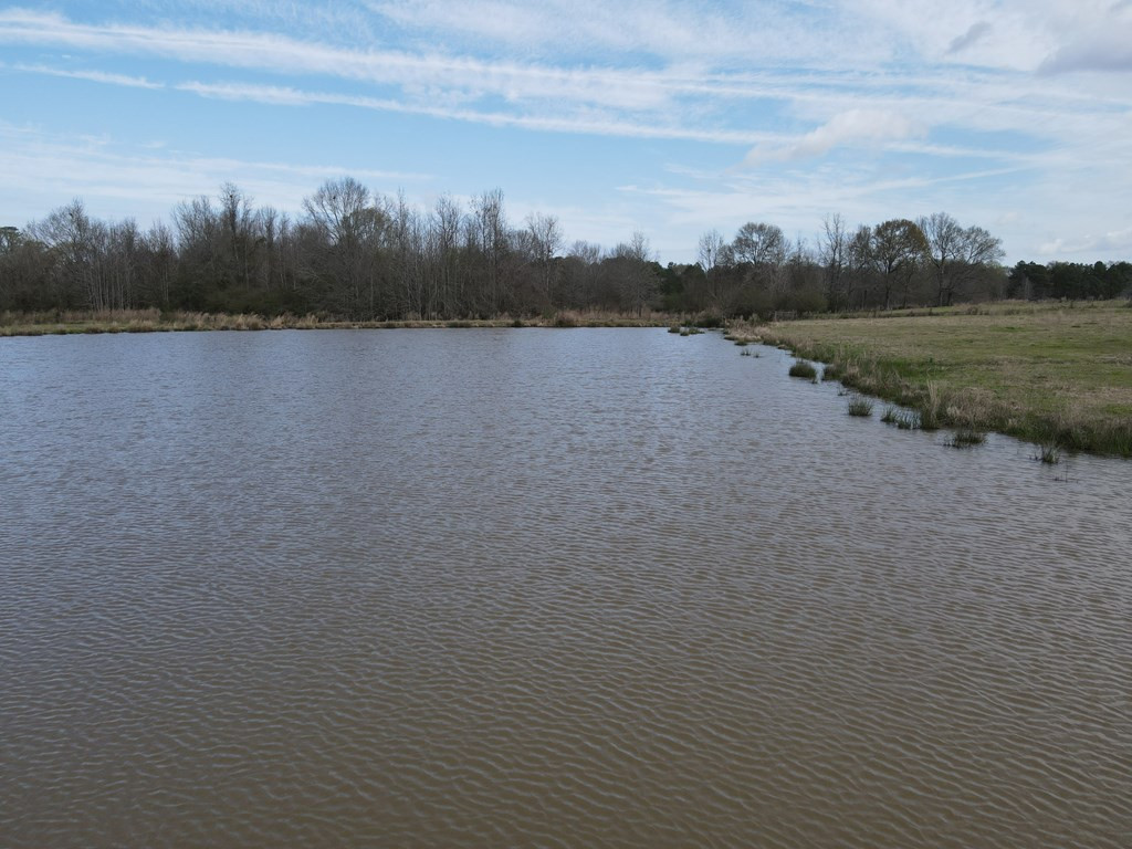 2120 Gene Road Southwest Brookhaven, MS 39601 - Photo 19 of 30 Photo 19