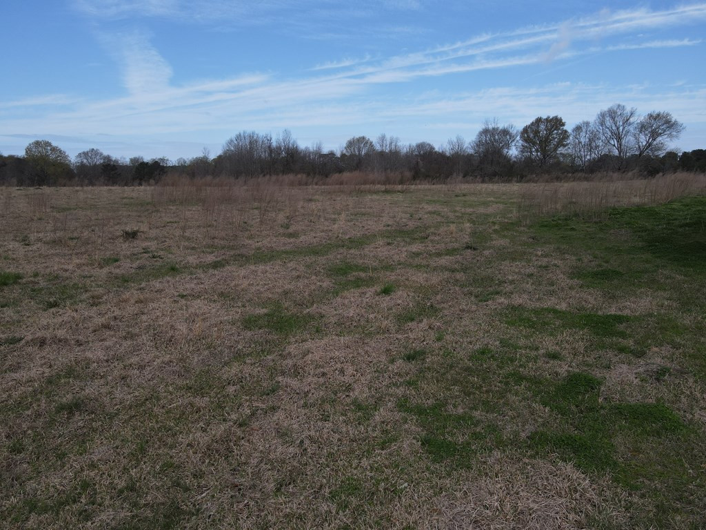2120 Gene Road Southwest Brookhaven, MS 39601 - Photo 23 of 30 Photo 23