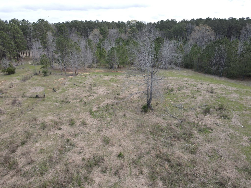 2120 Gene Road Southwest Brookhaven, MS 39601 - Photo 4 of 30 Photo 4
