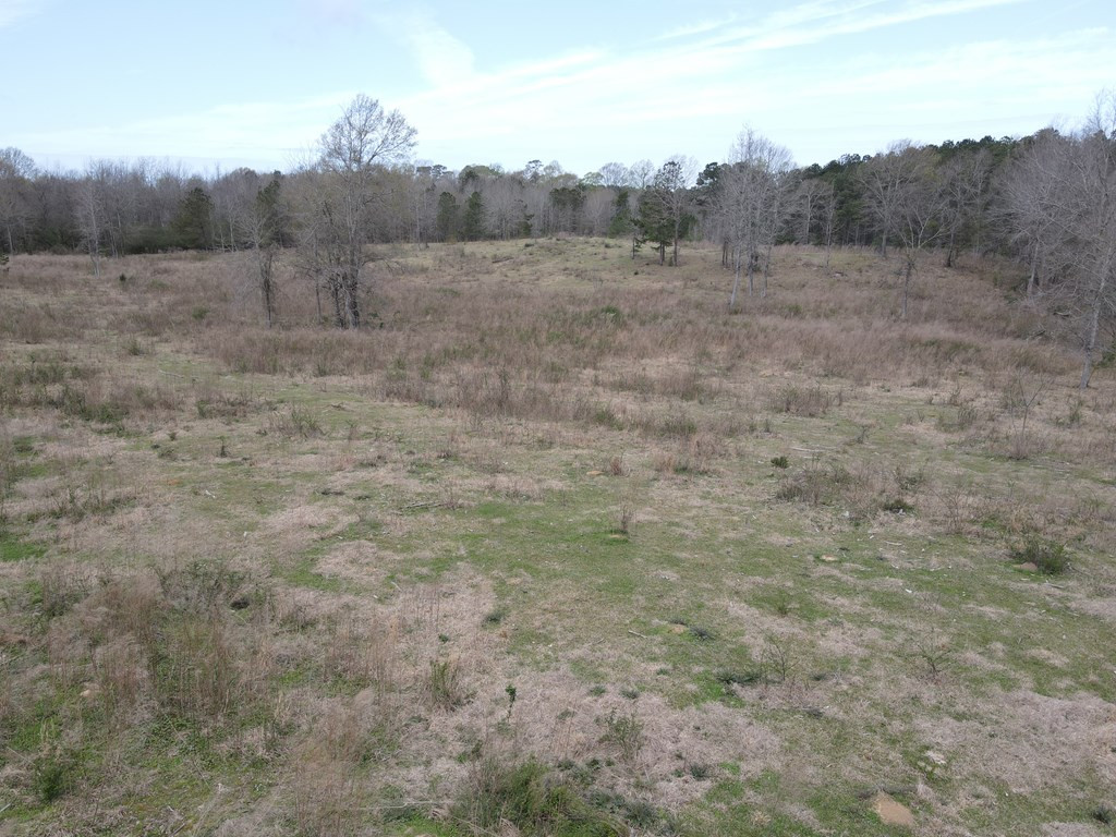 2120 Gene Road Southwest Brookhaven, MS 39601 - Photo 10 of 30 Photo 10