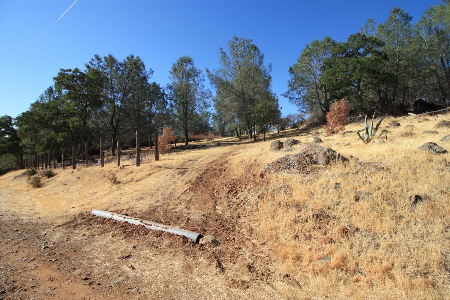12068 Shepard Road Smartsville, CA 95977 - Photo 5 of 7 a view of snow on the side of a road