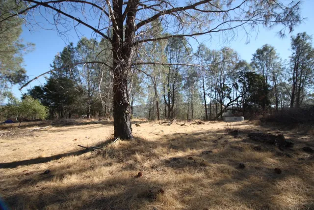 a view of a yard with snow on the road