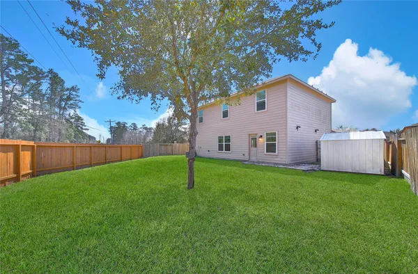 a view of a backyard with plants and large tree