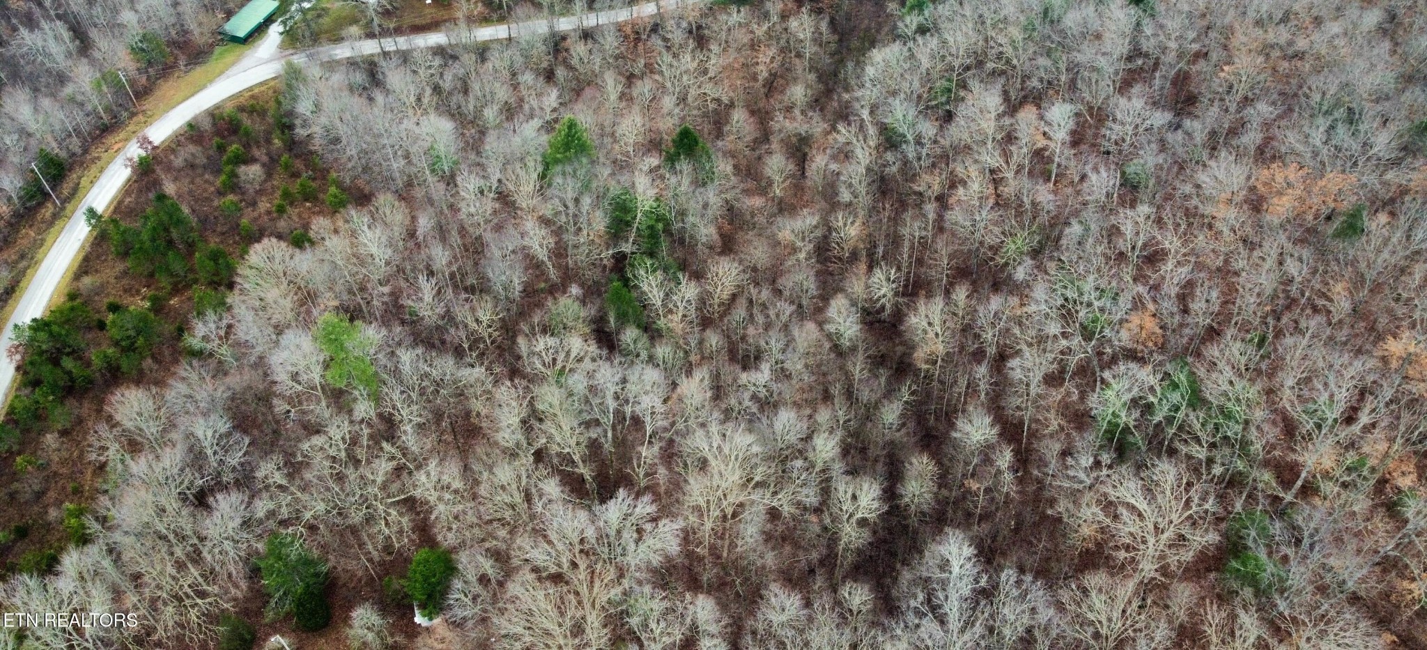 0 Rock House Road Pioneer, TN 37847 - Photo 13 of 14 Gallery Image 13