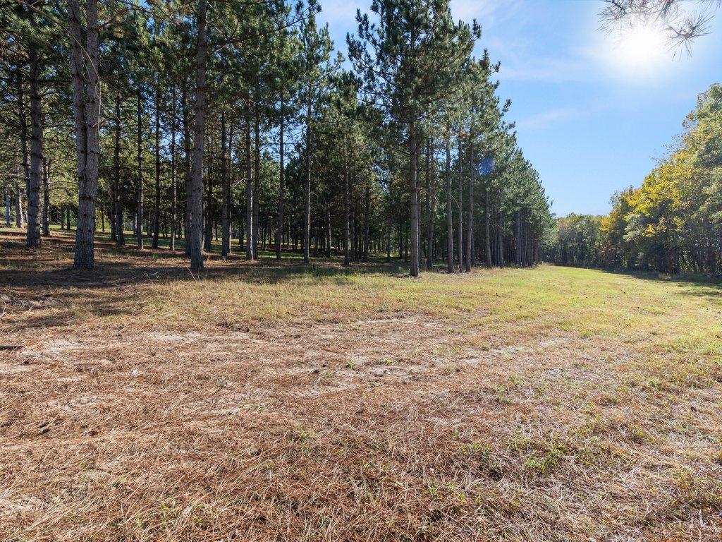 30091 Huntersville Road Sebeka, MN 56477 - Photo 6 of 11