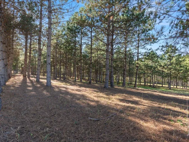 $220,000 | 30091 Huntersville Road, Sebeka, MN 56477