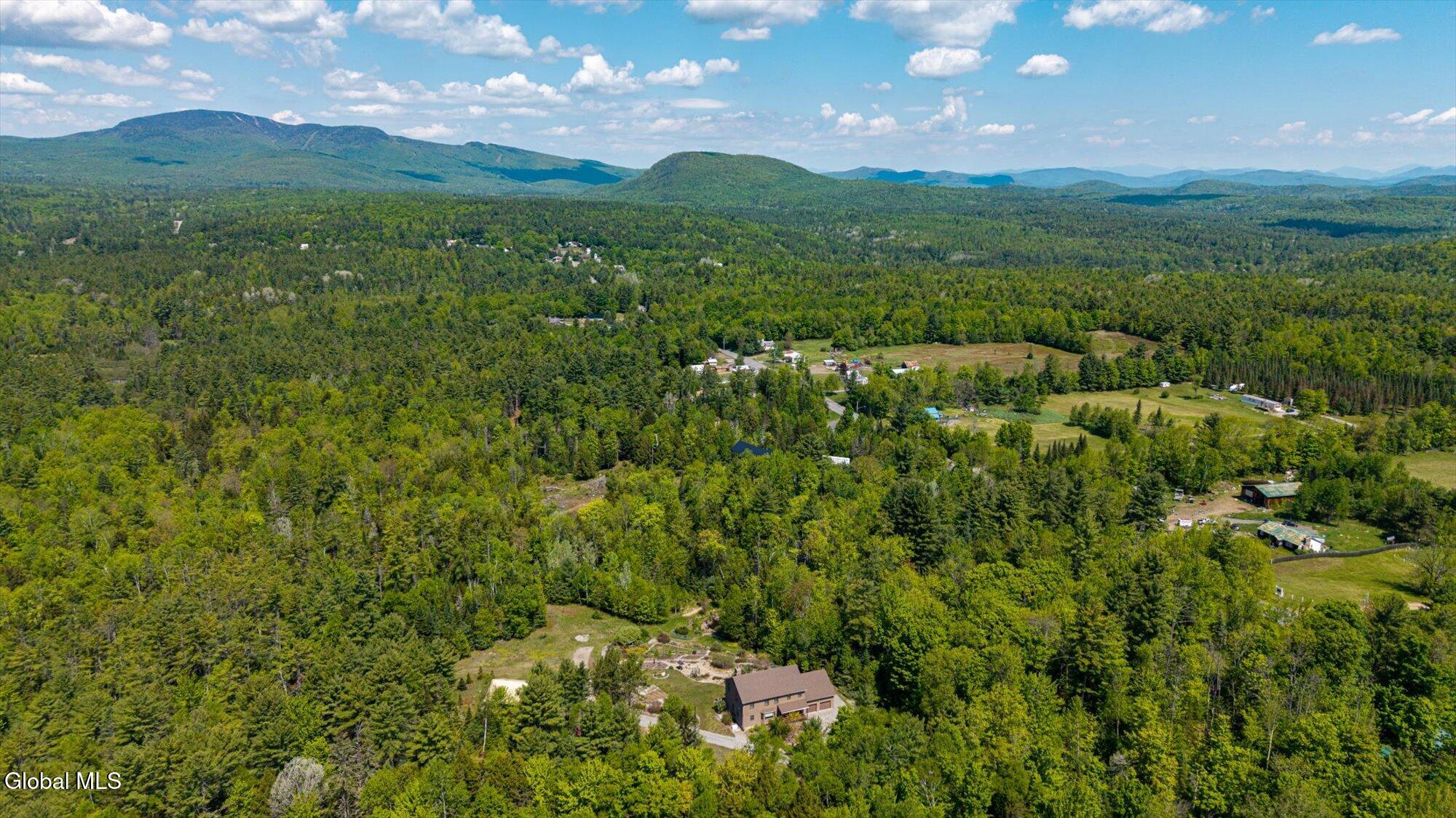 1603 South Johnsburg Road Johnsburg, NY 12843 - Photo 13 of 55 04-ADK-4