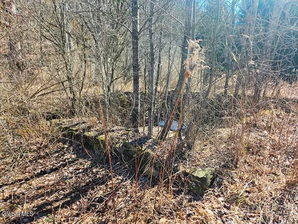 $109,000 | 915 Mill Valley Road, Middleburgh, NY 12122