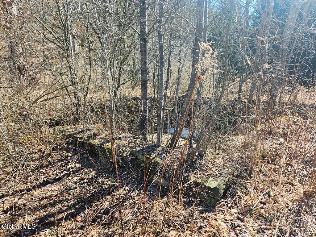 915 Mill Valley Road Middleburgh, NY 12122 - Photo 11 of 17 20260324_121226