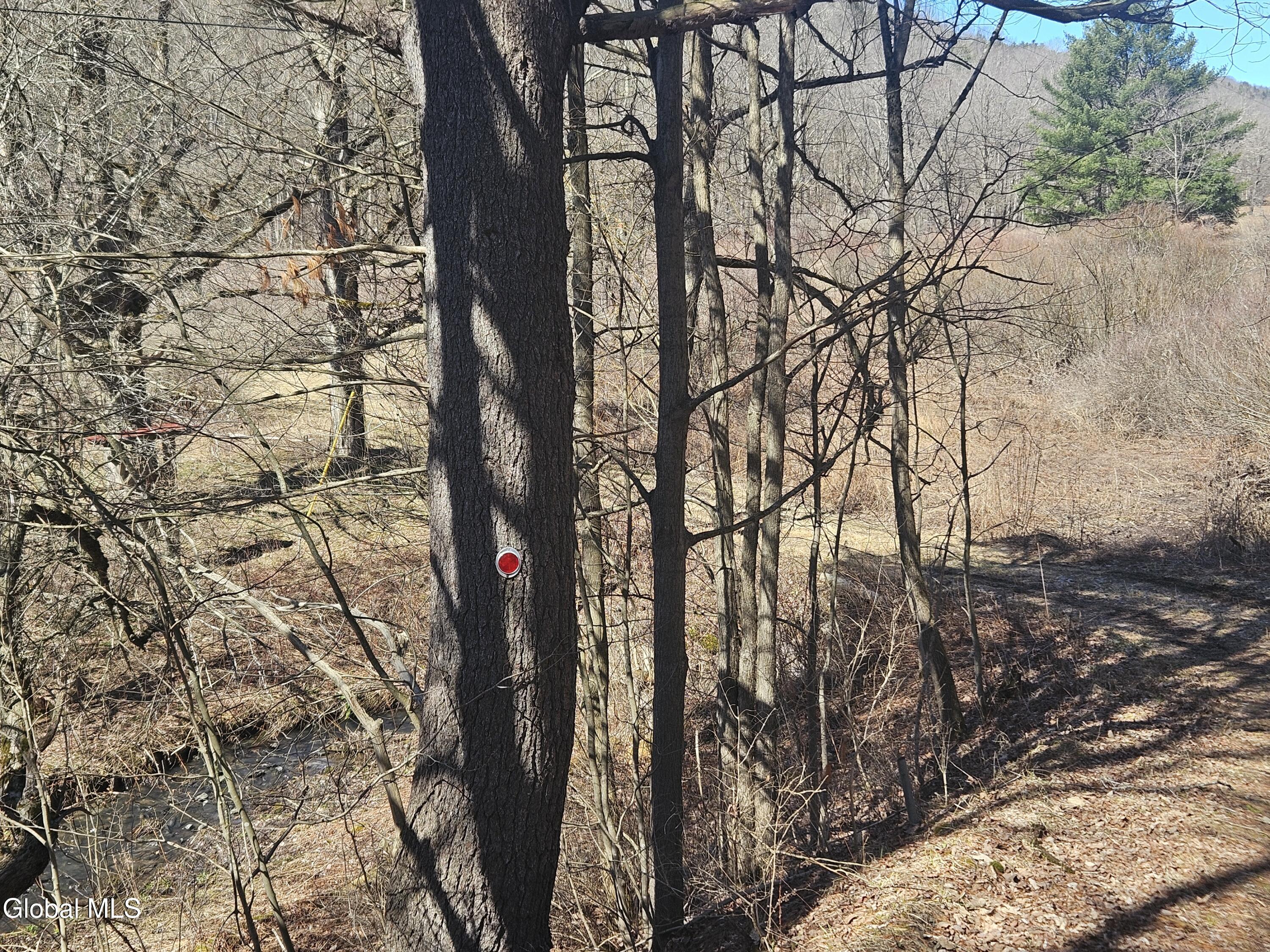 915 Mill Valley Road Middleburgh, NY 12122 - Photo 12 of 17 20260324_120338