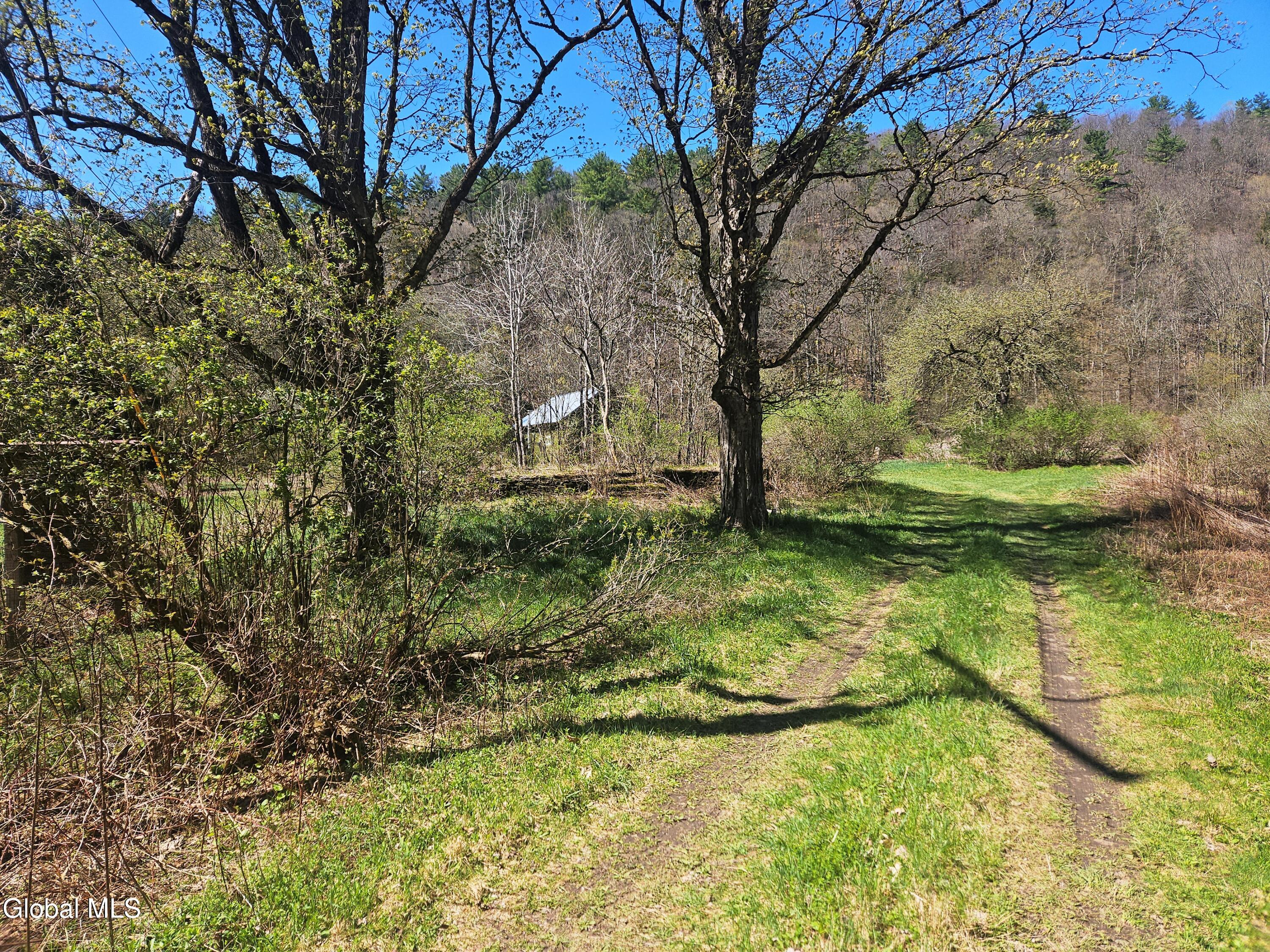 915 Mill Valley Road Middleburgh, NY 12122 - Photo 15 of 38 19