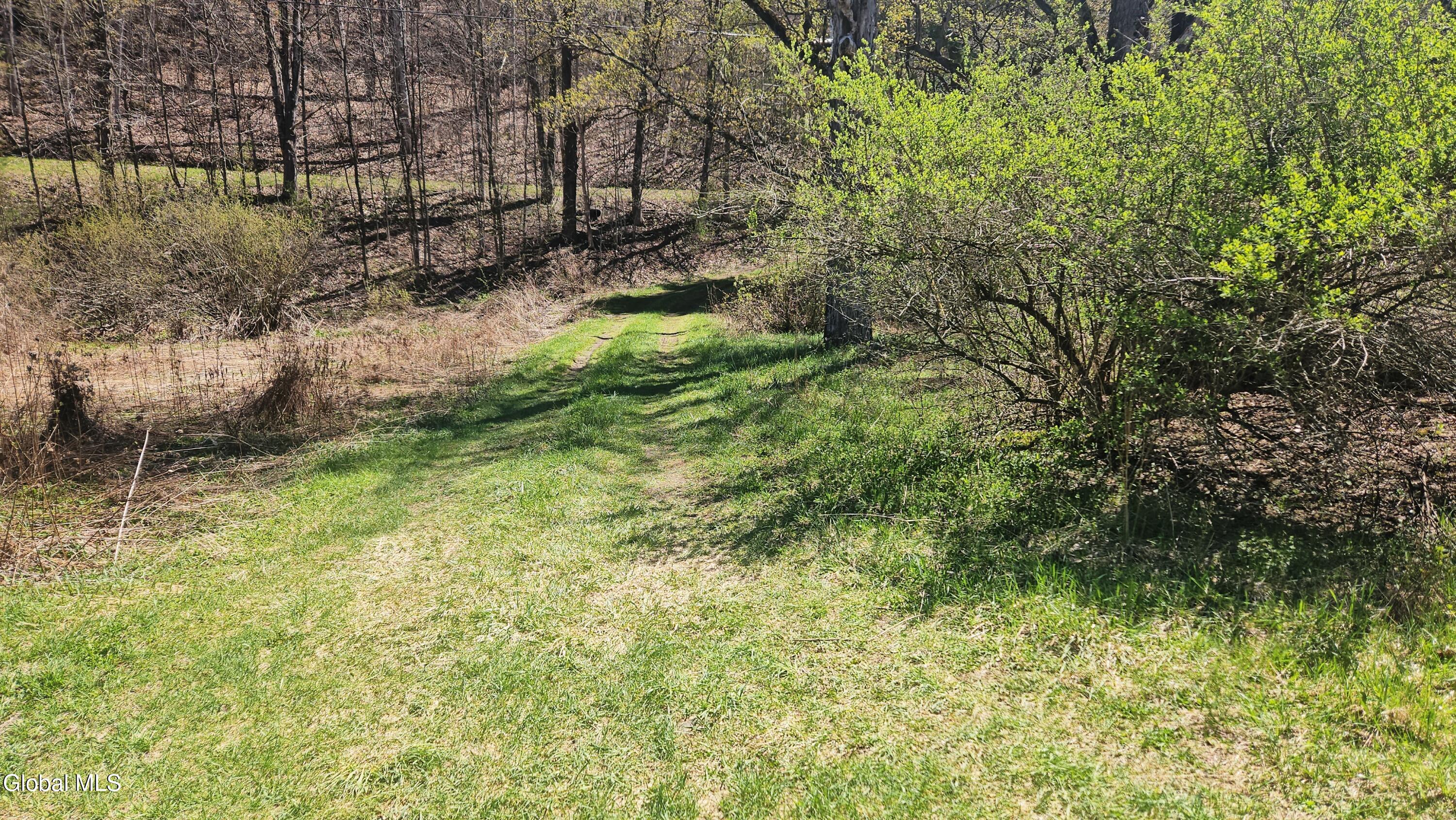 915 Mill Valley Road Middleburgh, NY 12122 - Photo 17 of 38 8