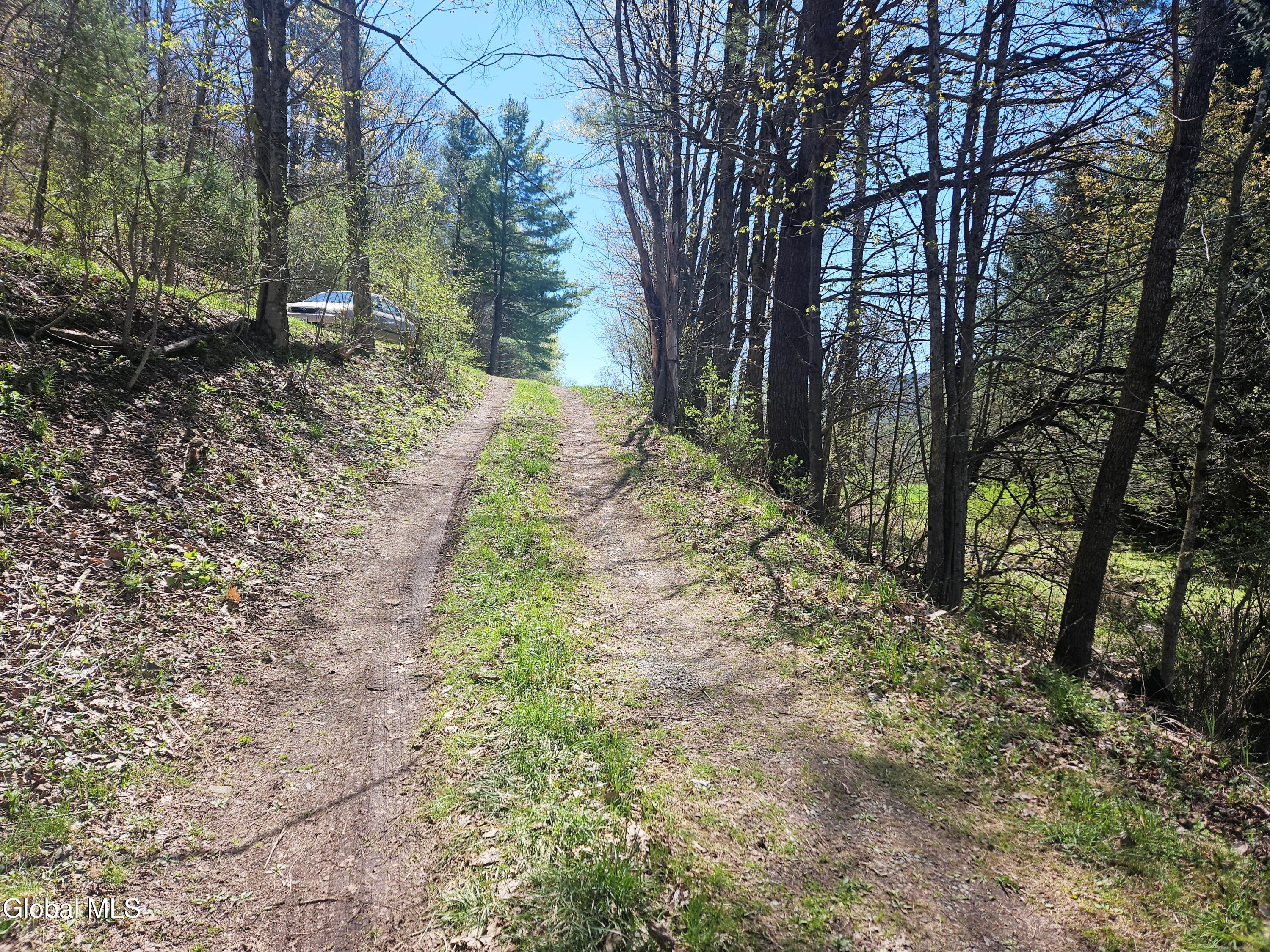 915 Mill Valley Road Middleburgh, NY 12122 - Photo 22 of 38 9