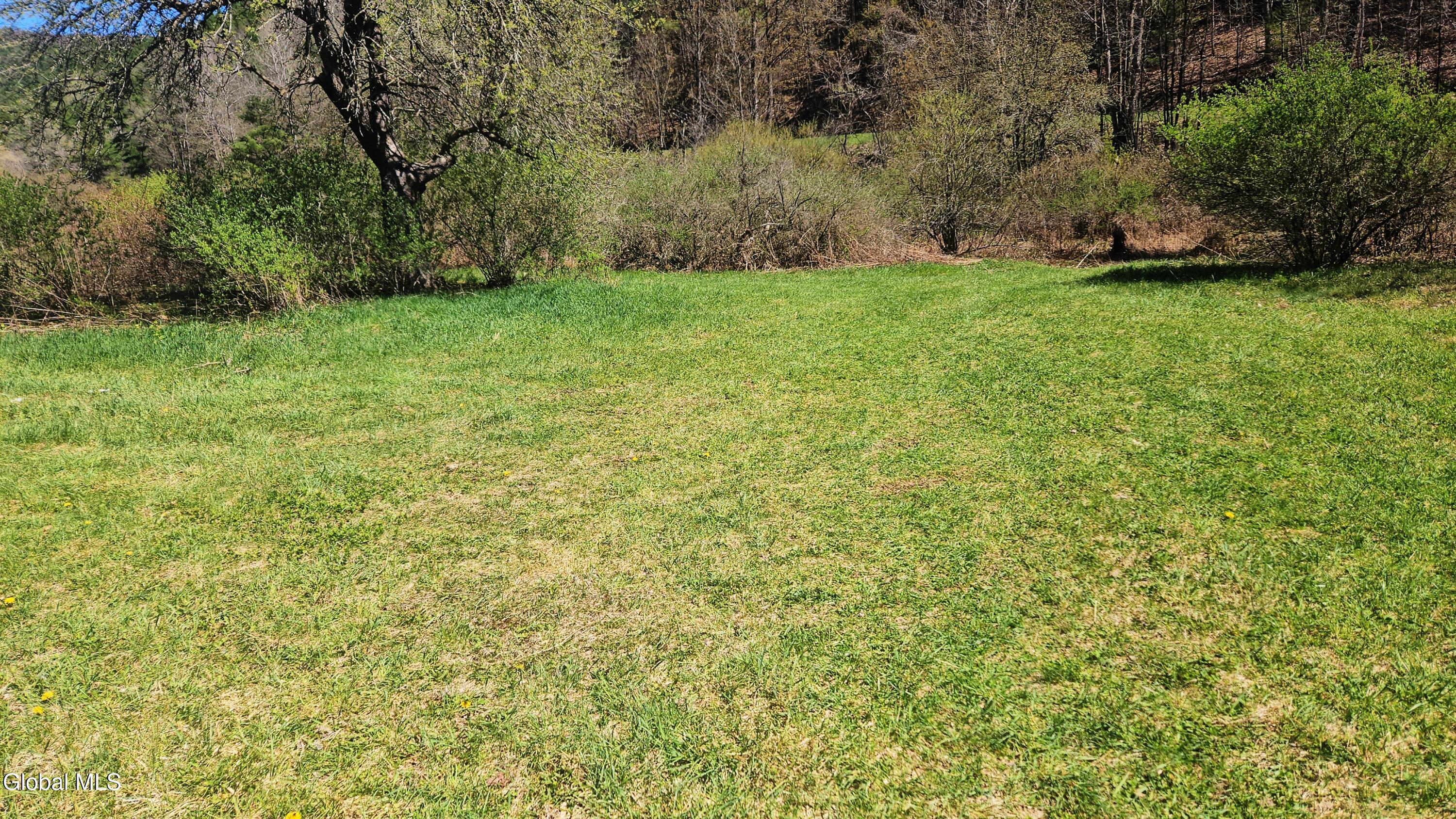 915 Mill Valley Road Middleburgh, NY 12122 - Photo 23 of 38 11