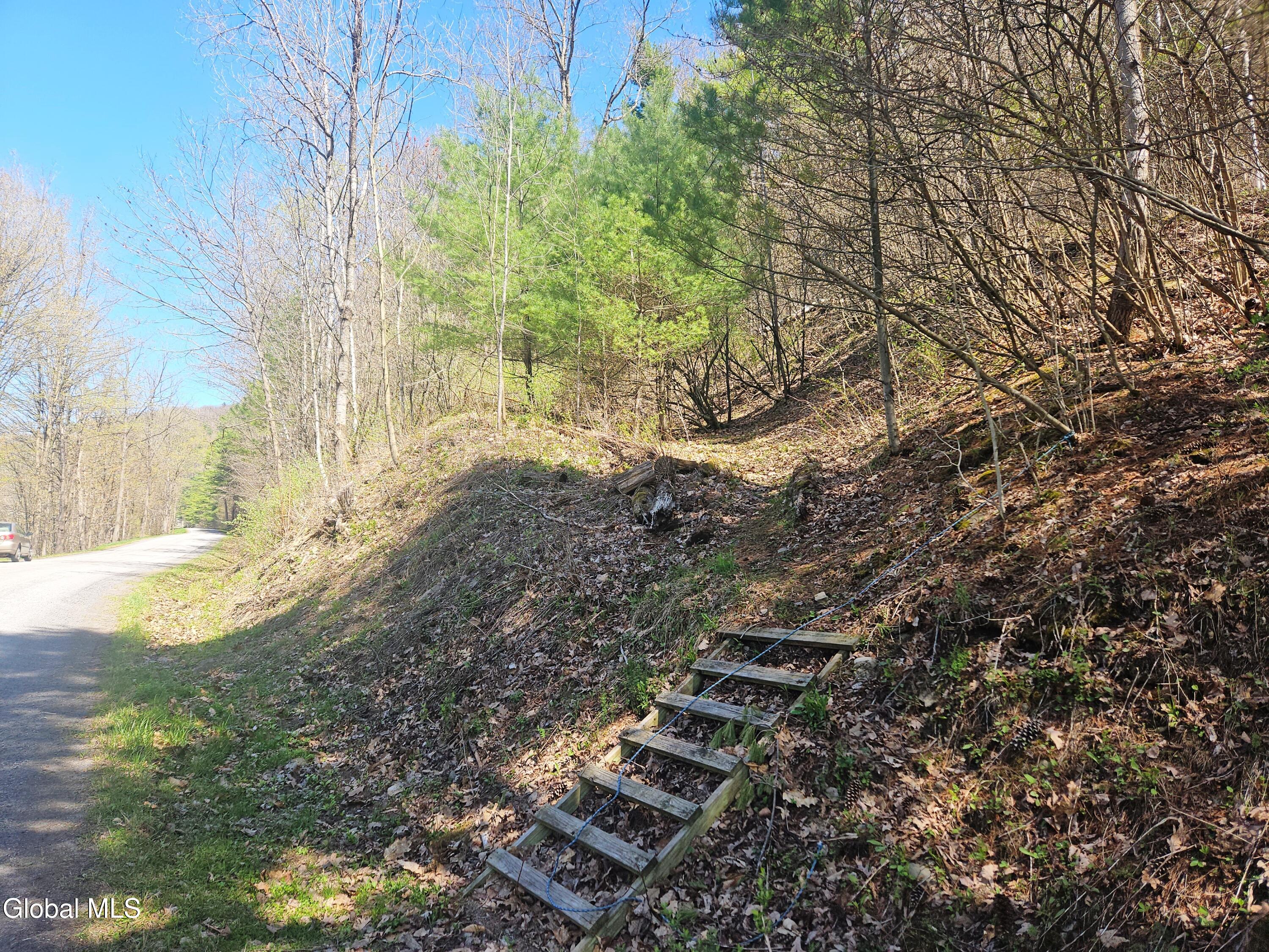915 Mill Valley Road Middleburgh, NY 12122 - Photo 25 of 38 5