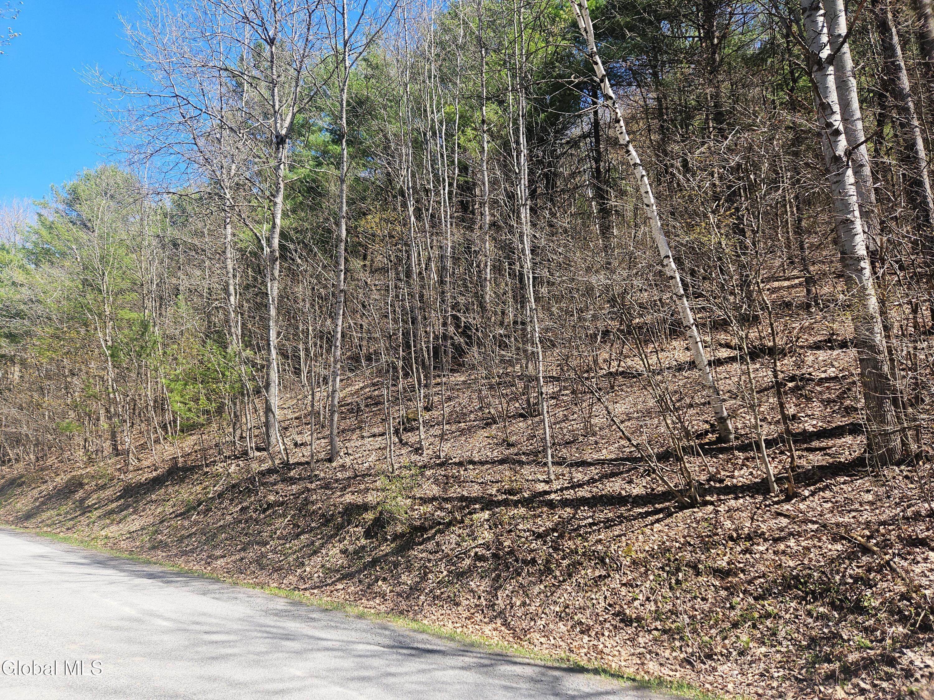 915 Mill Valley Road Middleburgh, NY 12122 - Photo 27 of 38 3