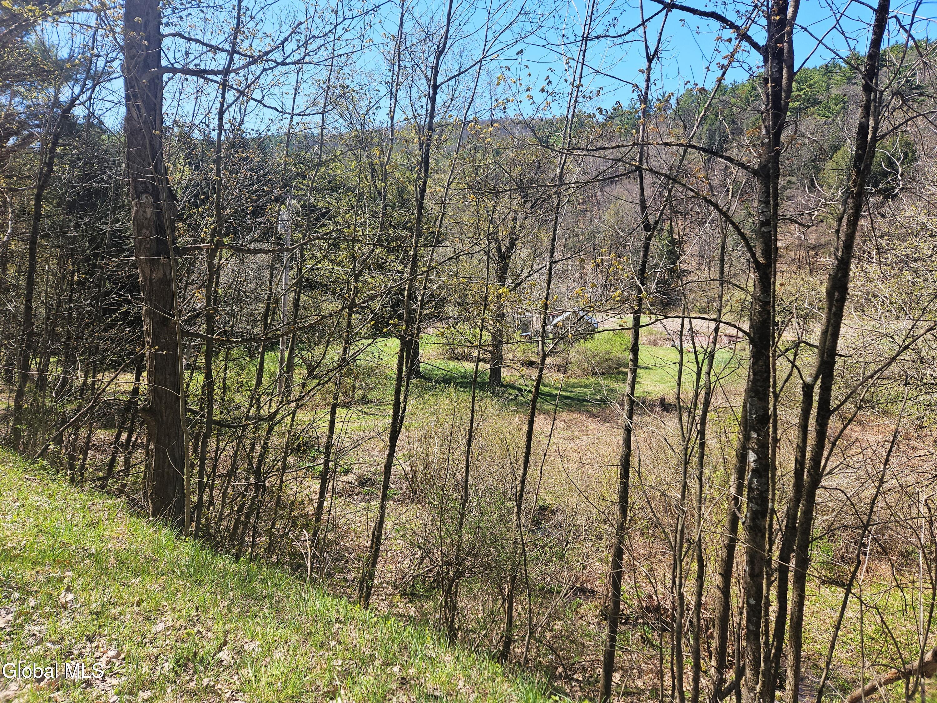 915 Mill Valley Road Middleburgh, NY 12122 - Photo 30 of 38 1