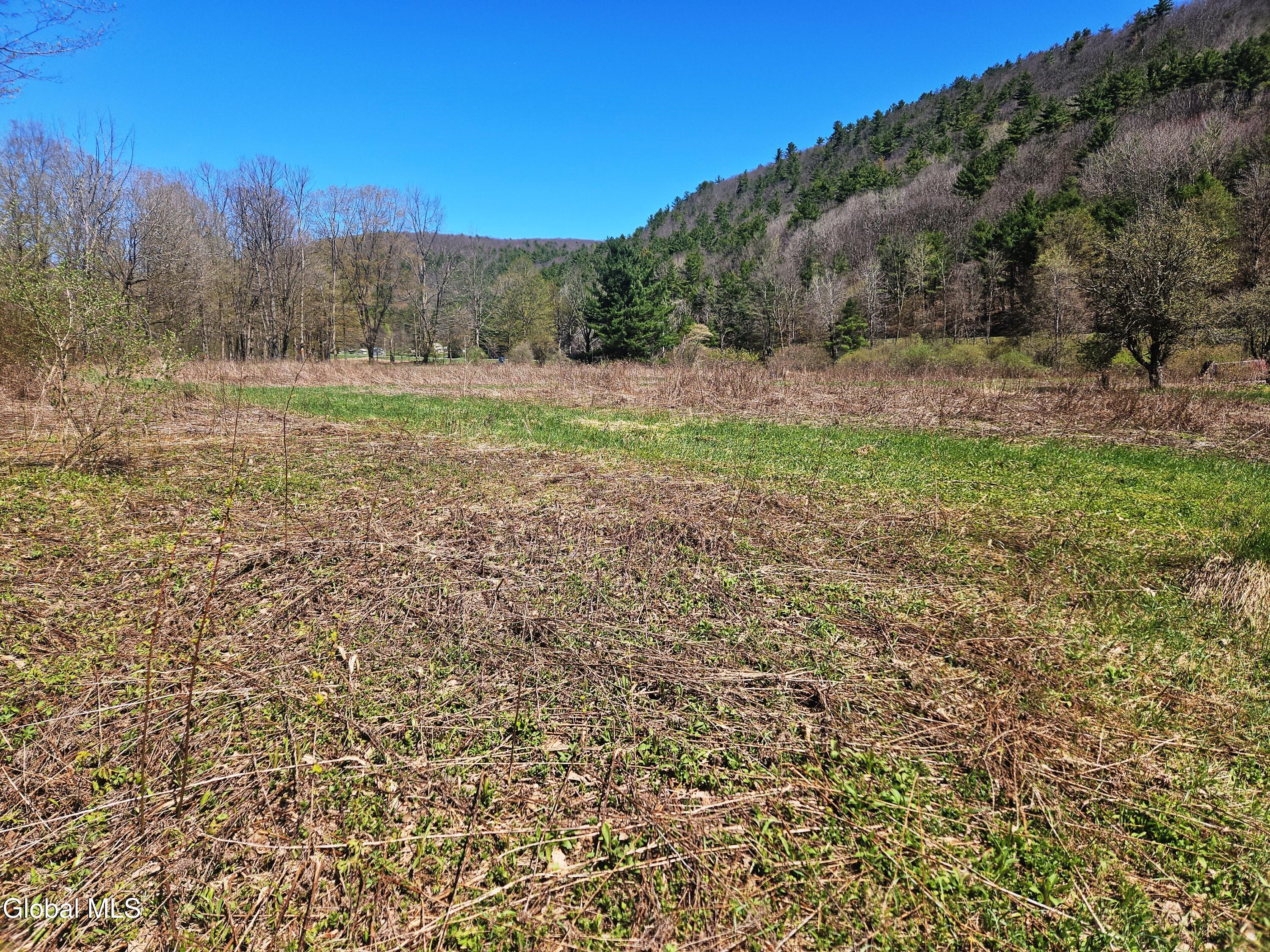 915 Mill Valley Road Middleburgh, NY 12122 - Photo 33 of 38 24