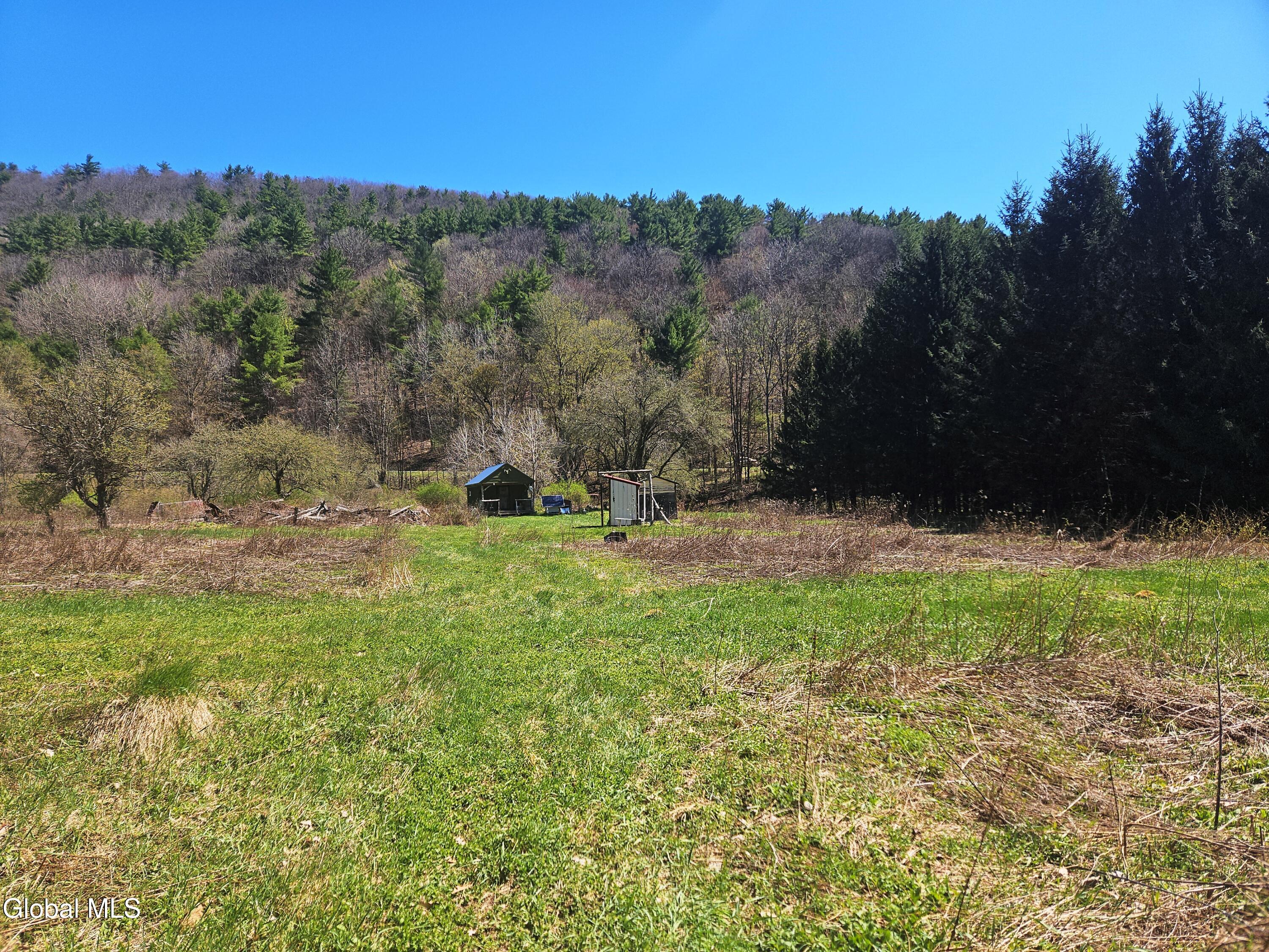 915 Mill Valley Road Middleburgh, NY 12122 - Photo 34 of 38 30