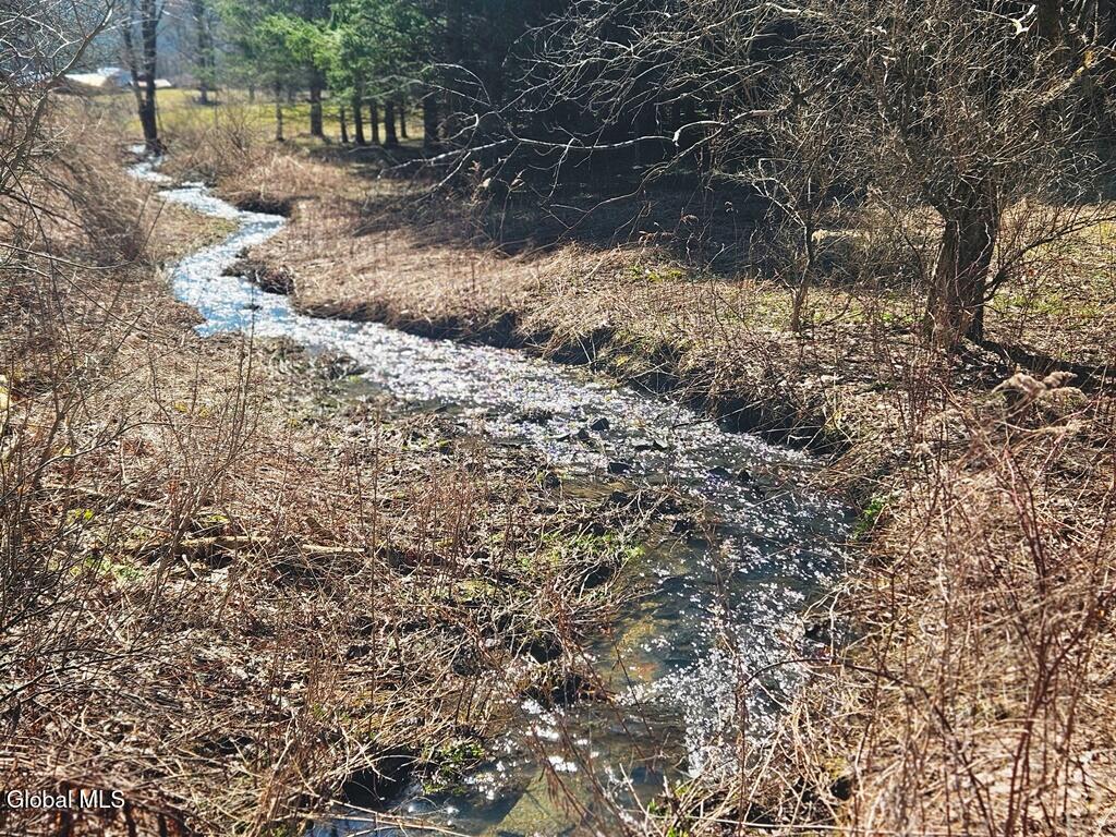 915 Mill Valley Road Middleburgh, NY 12122 - Photo 8 of 17 stream