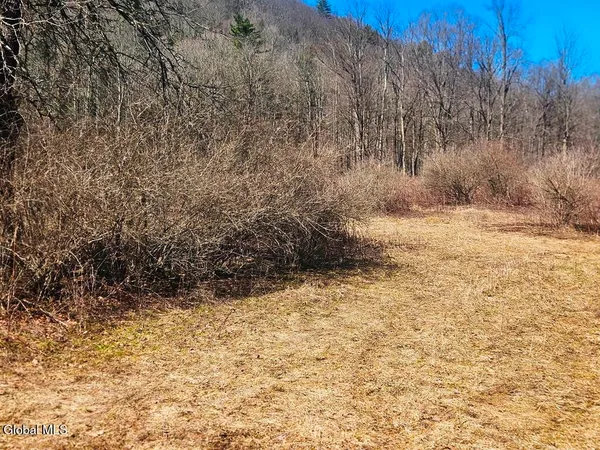 $109,000 | 915 Mill Valley Road, Middleburgh, NY 12122