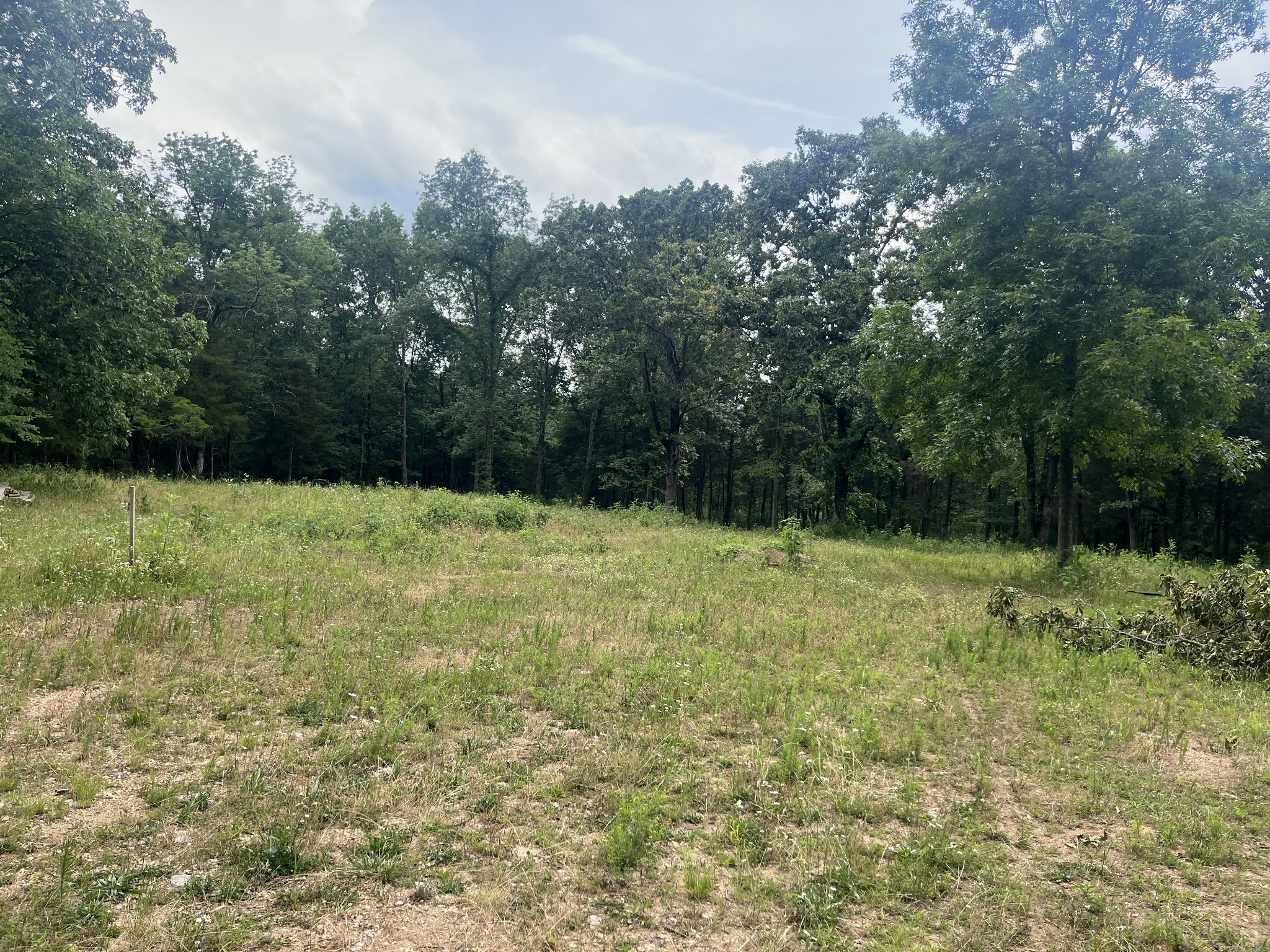 724 Rutledge Ln. Lebanon, TN 37087 - Photo 2 of 7 Gallery Image 2