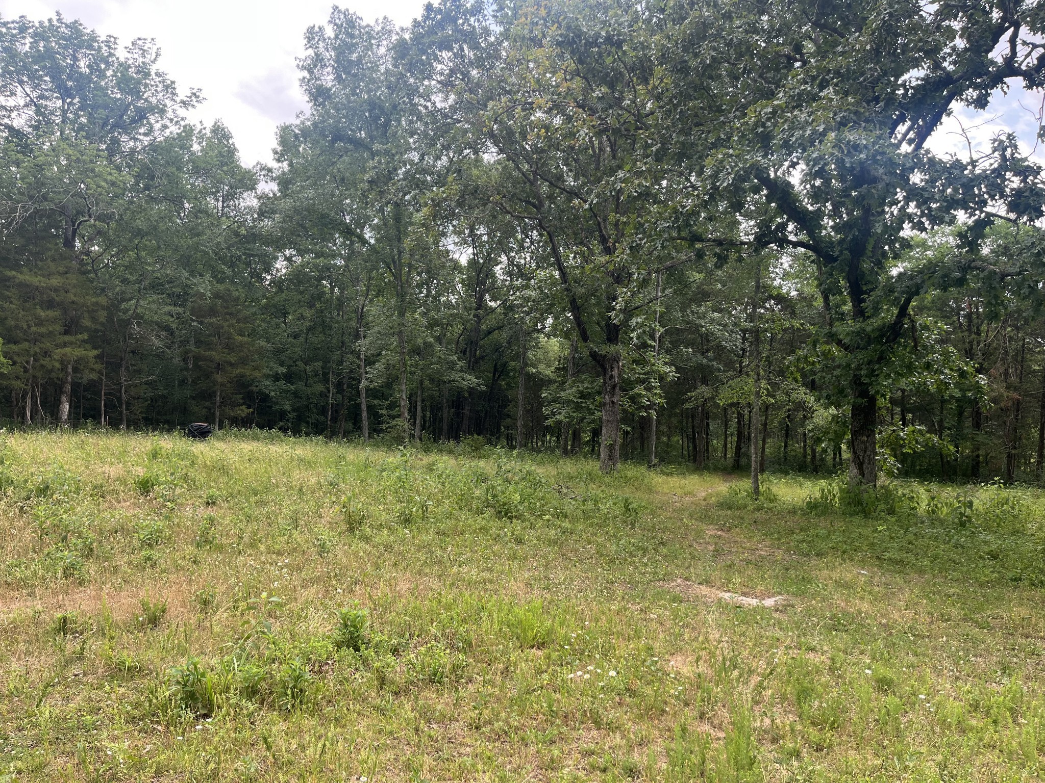 724 Rutledge Ln. Lebanon, TN 37087 - Photo 3 of 7 Gallery Image 3