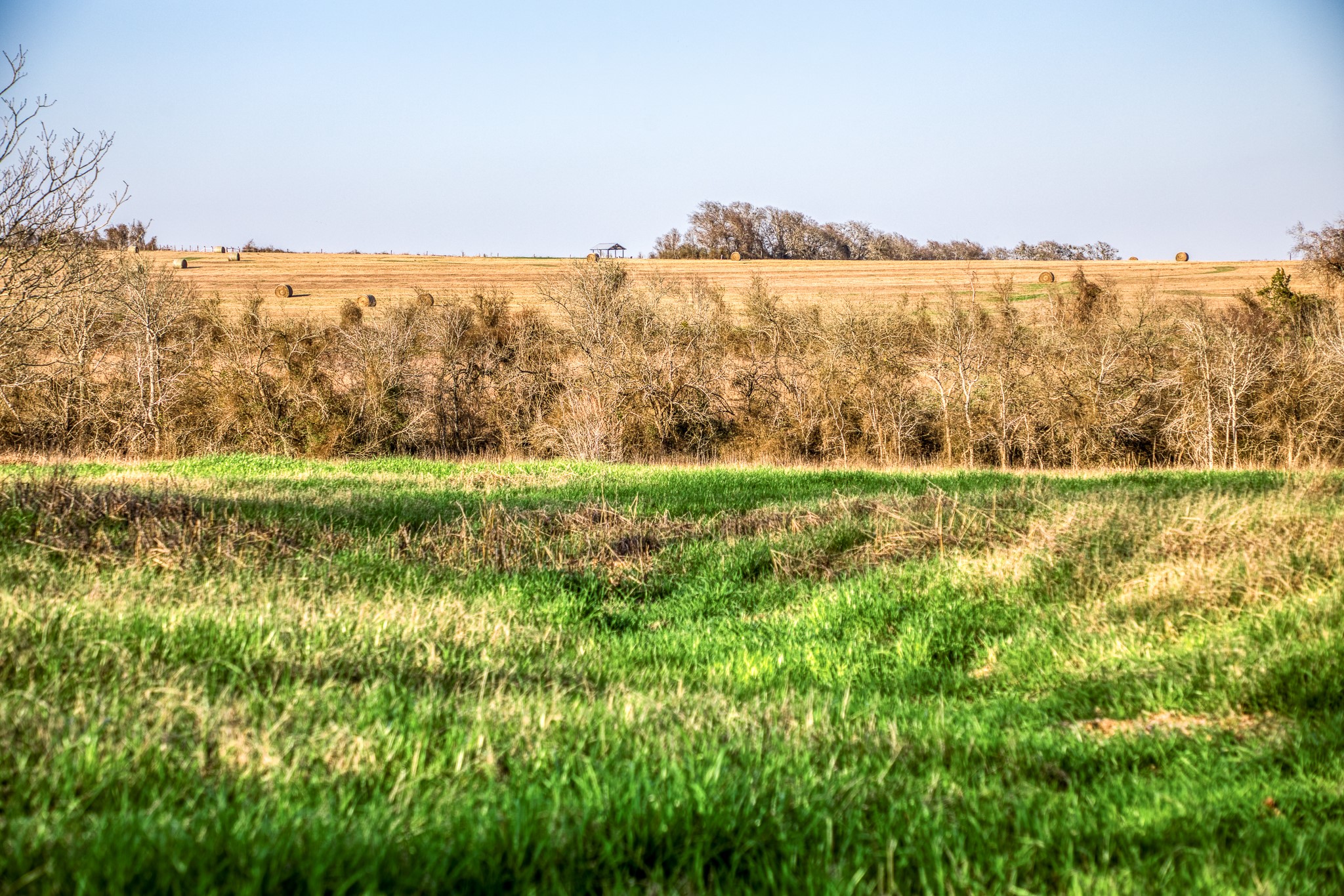 1905 Century Farms Road Burton, TX 77835 - Photo 23 of 29 a view of lake with green space
