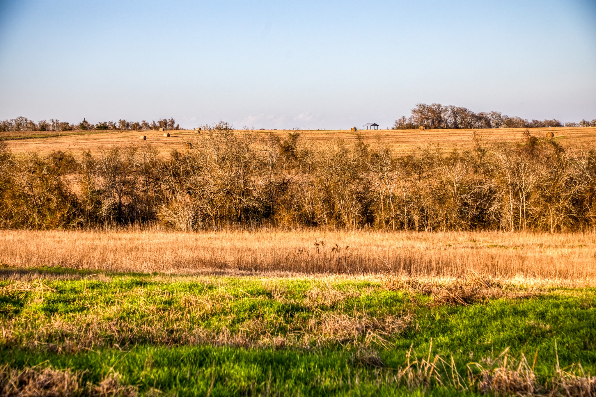 1905 Century Farms Road Burton, TX 77835 - Photo 24 of 29 a view of an ocean