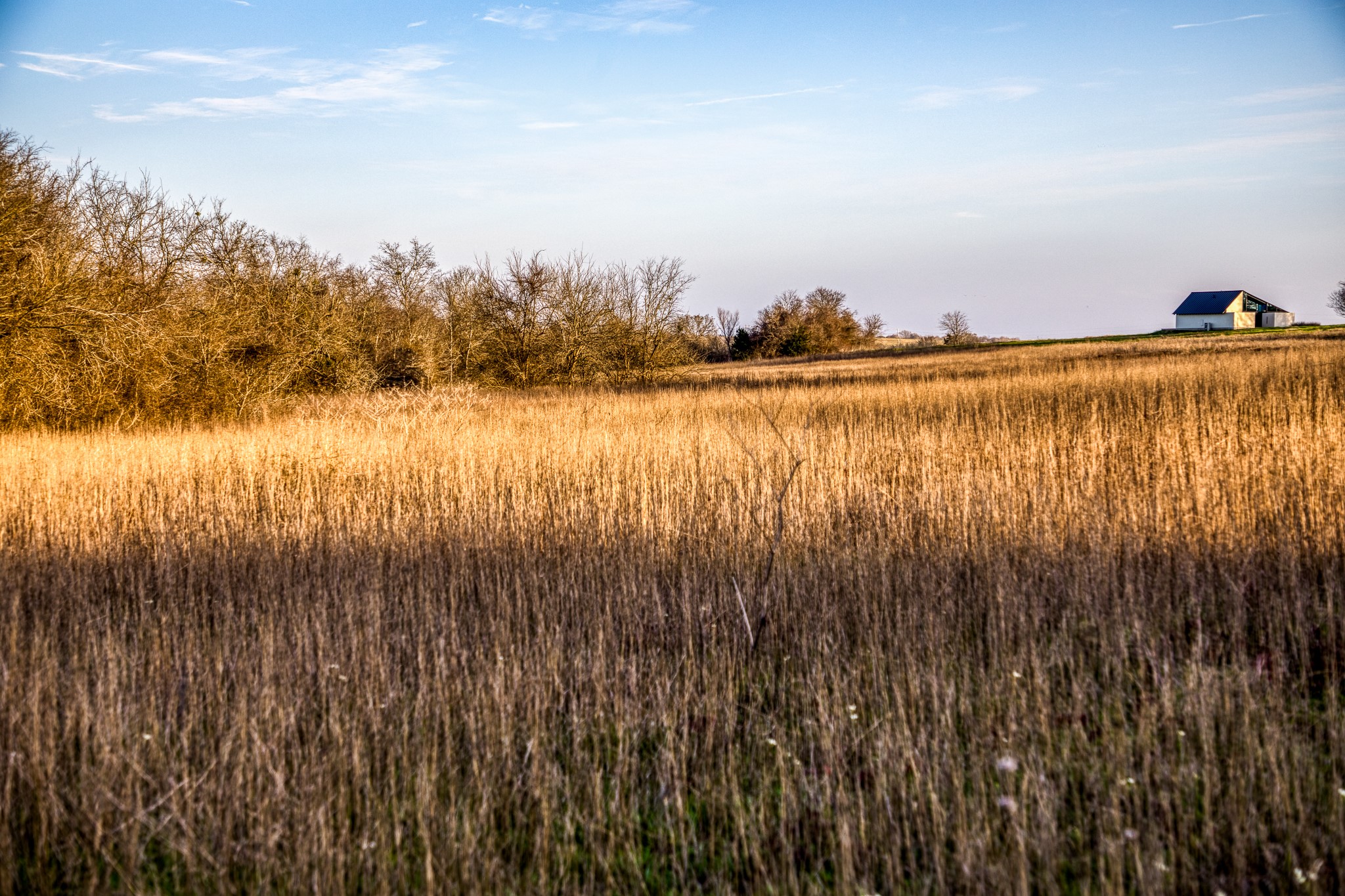 1905 Century Farms Road Burton, TX 77835 - Photo 28 of 29