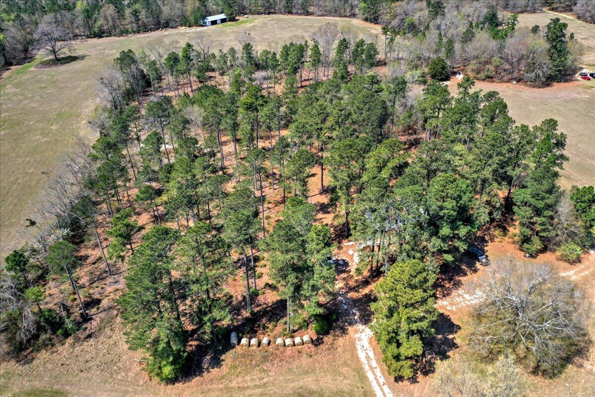 1735 Hatchaway Bridge Road Aiken, SC 29805 - Photo 9 of 27