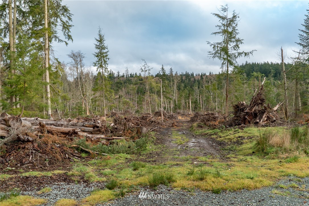 3399 East Harbor Road Langley, WA 98260 - Photo 5 of 36 a view of a garden with a lake