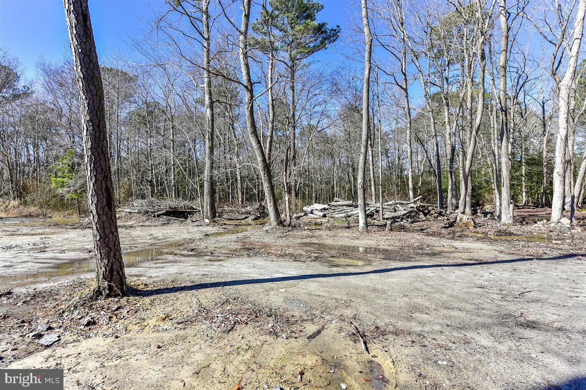 11833 Grays Corner Road Berlin, MD 21811 - Photo 34 of 36