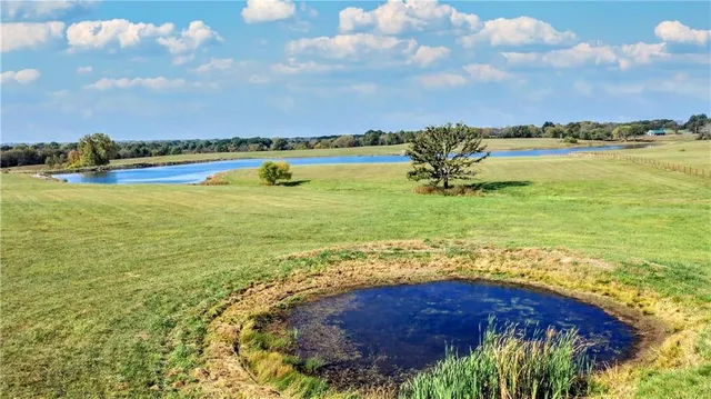 $1,300,000 | 23700 South State Route East, Pleasant Hill, MO 64080