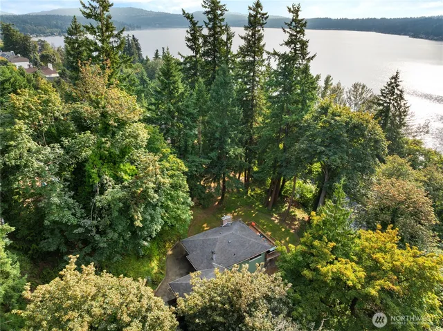 a view of a tree with a yard