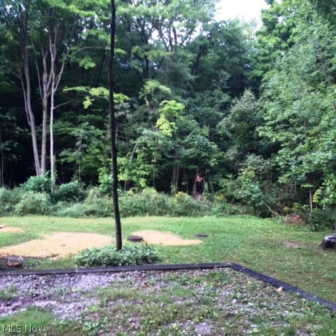 13645 Fisher Road Burton, OH 44021 - Photo 19 of 21