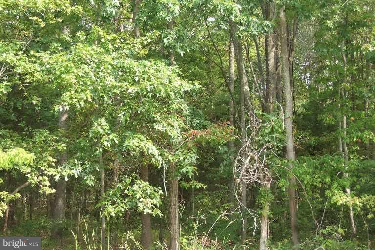 5723 Shady Side Road Churchton, MD 20733 - Photo 1 of 1 Exterior (Main)