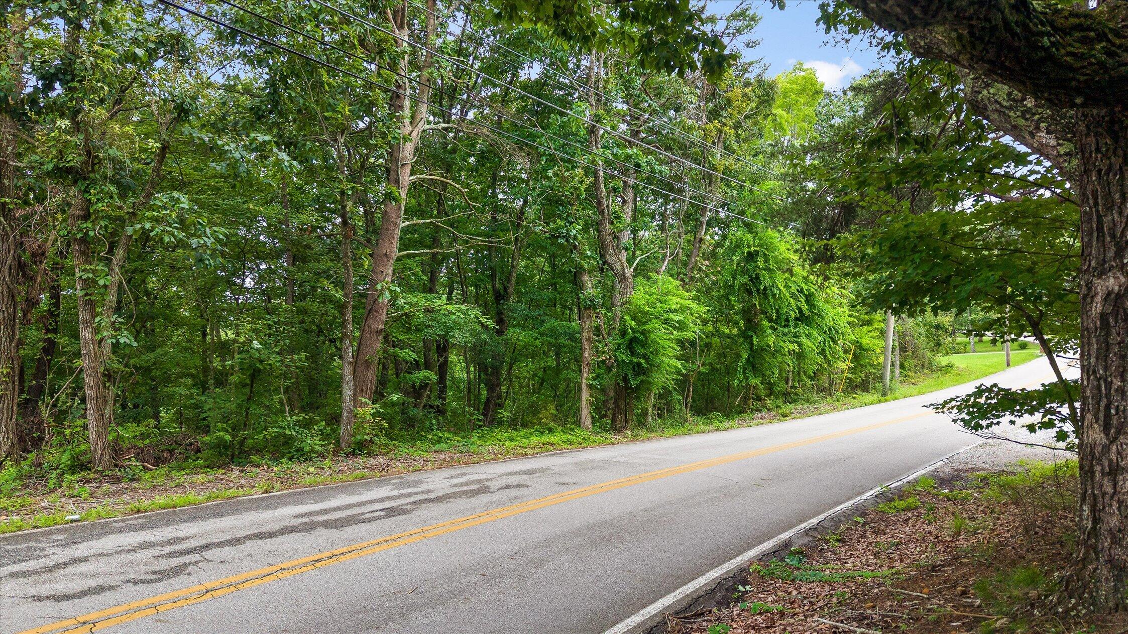 2830 Kell Road Signal Mountain, TN 37377 - Photo 3 of 16 03-Kell-3