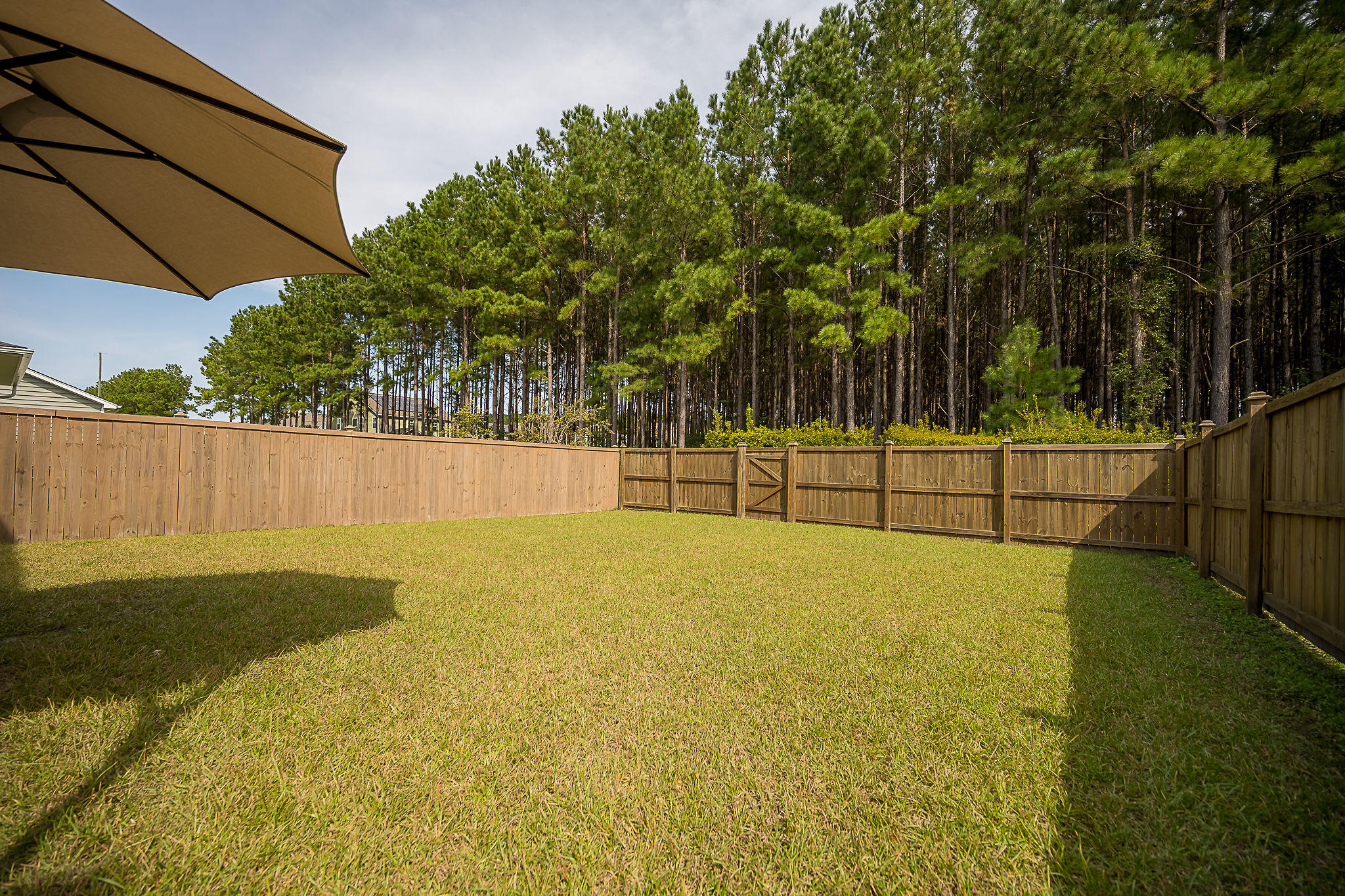 233 Overcup Loop Summerville, SC 29486 - Photo 23 of 56 Wooded Lot