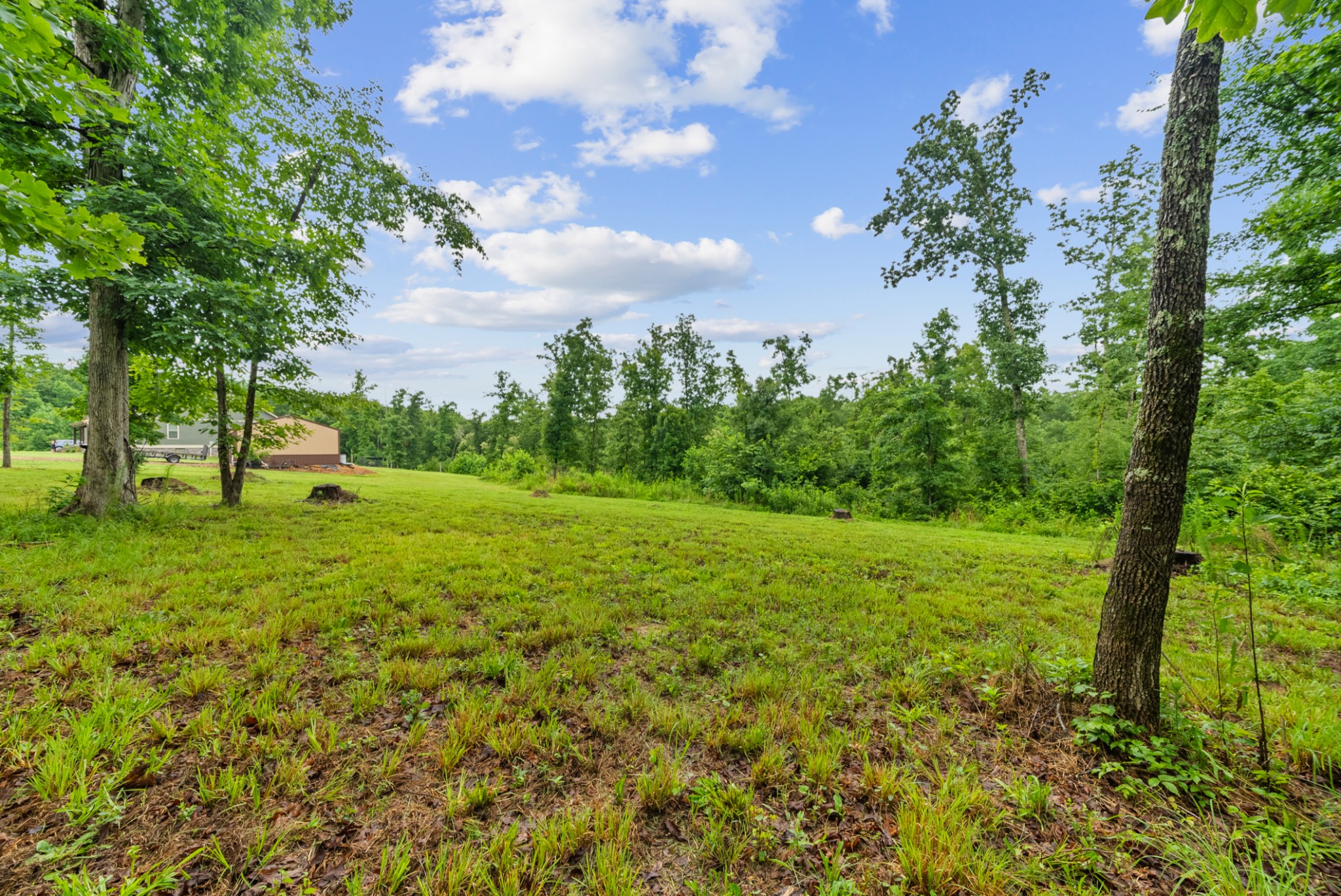 217 Rockhouse Road Hohenwald, TN 38462 - Photo 61 of 78